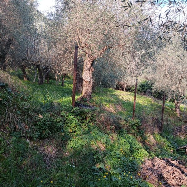 terreno edificabile in vendita a Massarosa in zona Bargecchia
