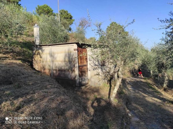 terreno agricolo in vendita a Massarosa in zona Corsanico
