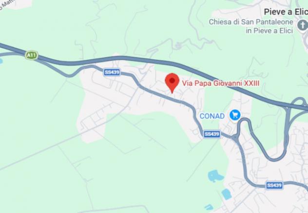 pentavano in vendita a Massarosa