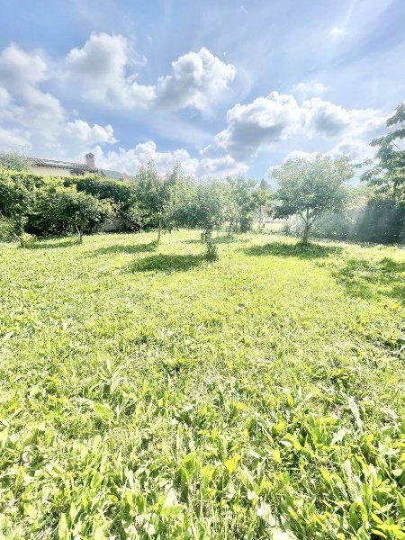 appartamento in vendita a Massarosa in zona Piano del Quercione