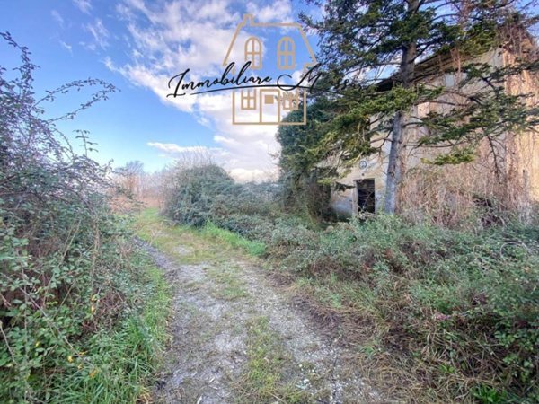 terreno agricolo in vendita a Massarosa