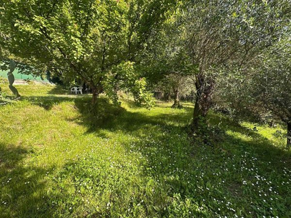 terreno agricolo in vendita a Massarosa