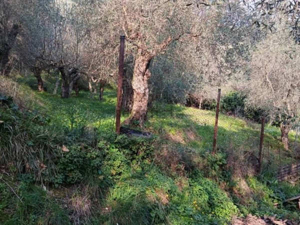 terreno edificabile in vendita a Massarosa in zona Bargecchia