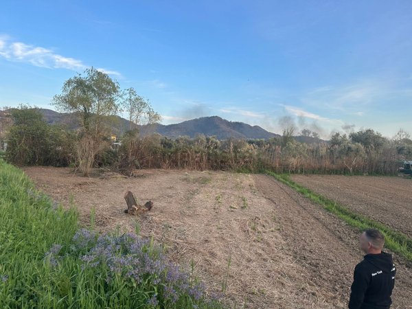 terreno agricolo in vendita a Massarosa in zona Bozzano