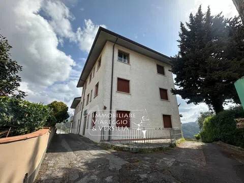 intera palazzina in vendita a Massarosa in zona Piano di Conca