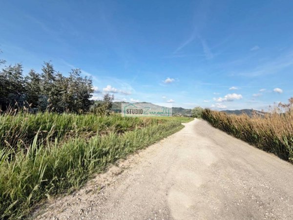 terreno agricolo in vendita a Massarosa