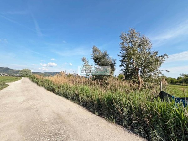terreno agricolo in vendita a Massarosa