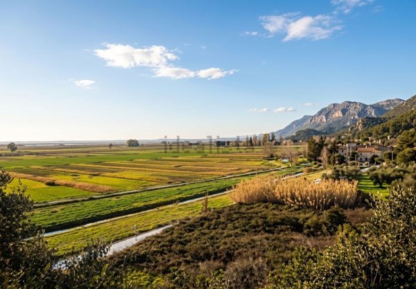 casa indipendente in vendita a Massarosa in zona Massaciuccoli