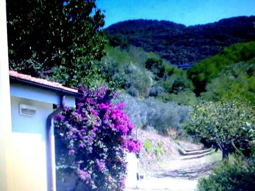casa indipendente in vendita a Massarosa in zona Massaciuccoli