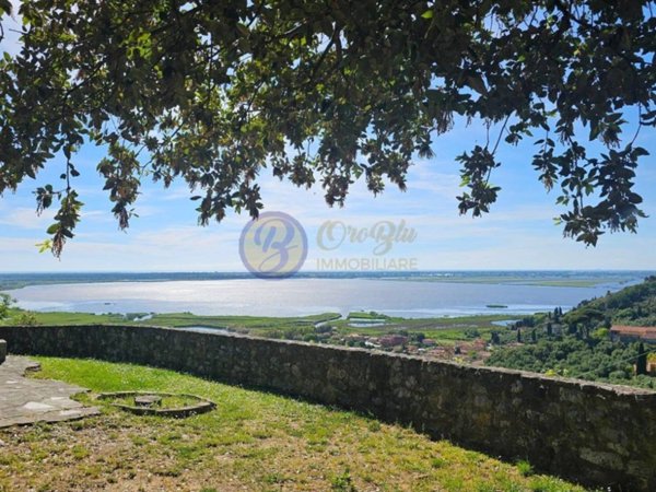 casa indipendente in vendita a Massarosa in zona Massaciuccoli