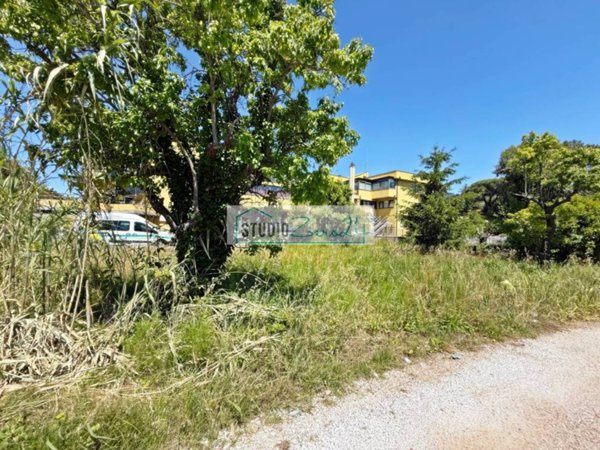 terreno agricolo in vendita a Massarosa