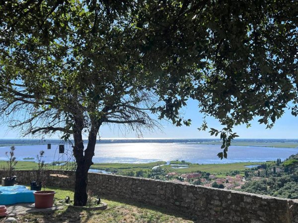 casa indipendente in vendita a Massarosa in zona Massaciuccoli