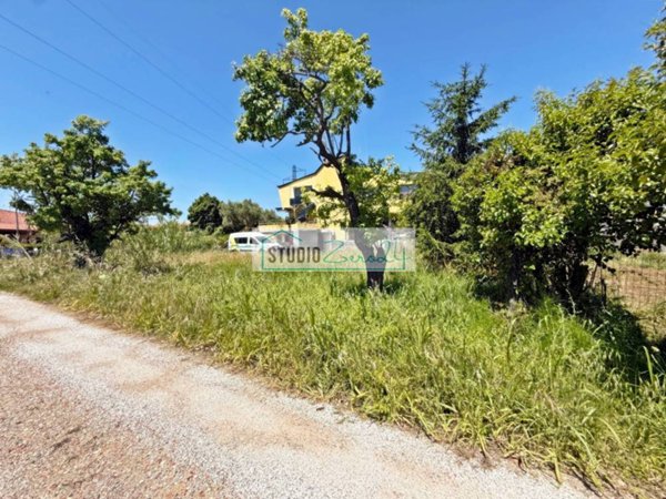 terreno agricolo in vendita a Massarosa
