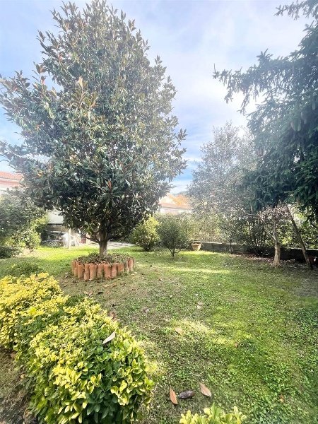 casa indipendente in vendita a Massarosa in zona Pieve a Elici