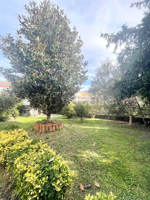 casa indipendente in vendita a Massarosa