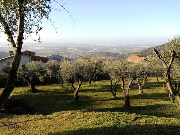 terreno edificabile in vendita a Massarosa in zona Bargecchia