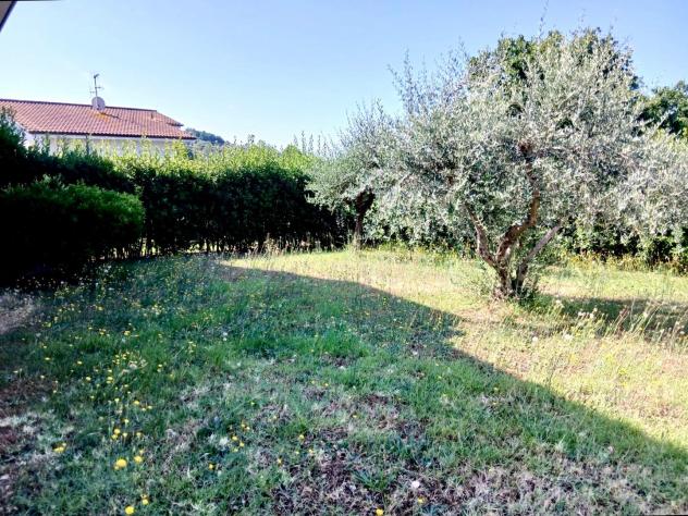 casa indipendente in vendita a Massarosa in zona Bozzano