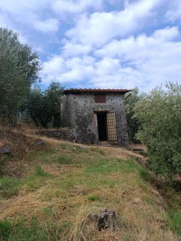 casale in vendita a Massarosa