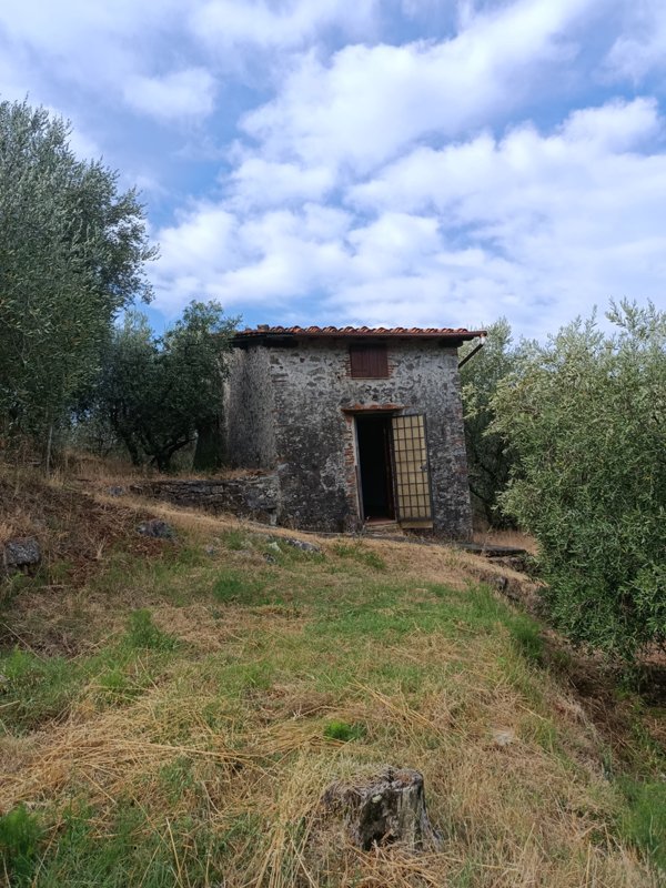 casale in vendita a Massarosa in zona Massaciuccoli
