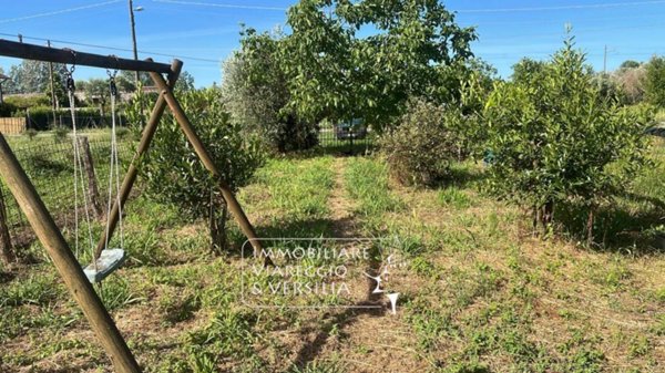 terreno agricolo in vendita a Massarosa