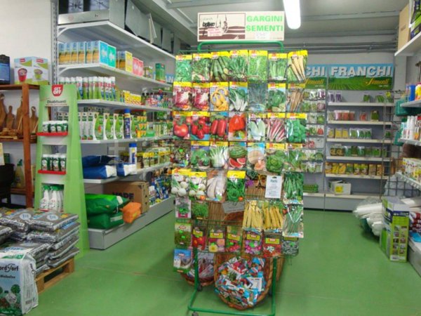 negozio in vendita a Massarosa in zona Quiesa