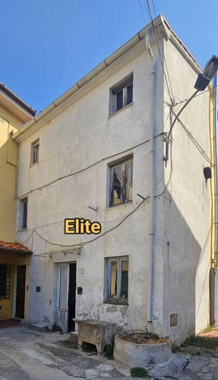 immagine annuncio 0 di 15