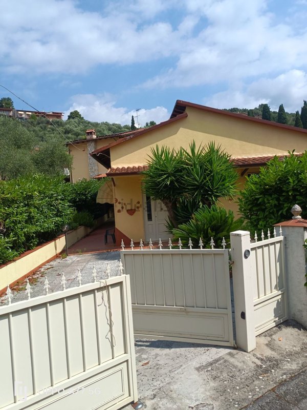 pentavano in vendita a Massarosa in zona Bargecchia