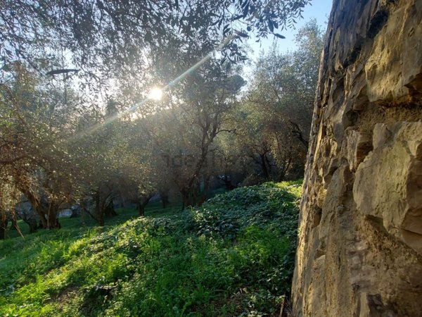 casa indipendente in vendita a Massarosa