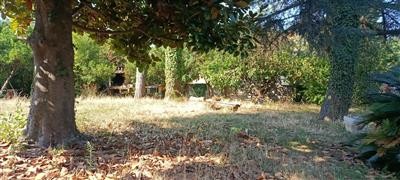 appartamento in vendita a Massarosa