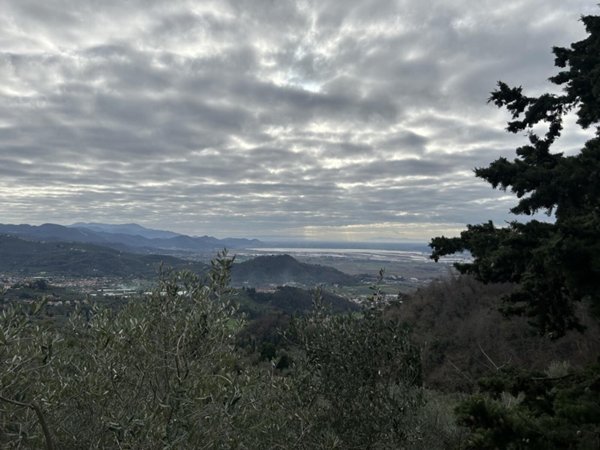 appartamento in vendita a Massarosa in zona Piano di Mommio