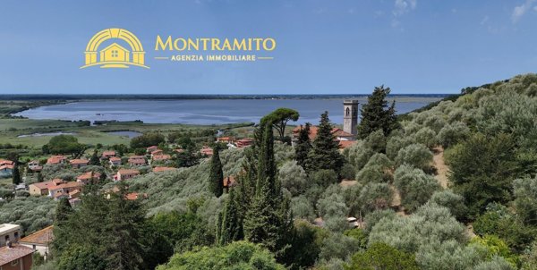 casa indipendente in vendita a Massarosa in zona Massaciuccoli