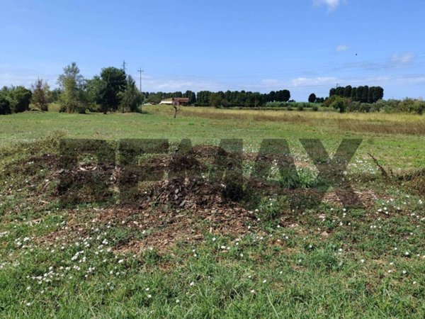 terreno agricolo in vendita a Massarosa in zona Piano di Mommio