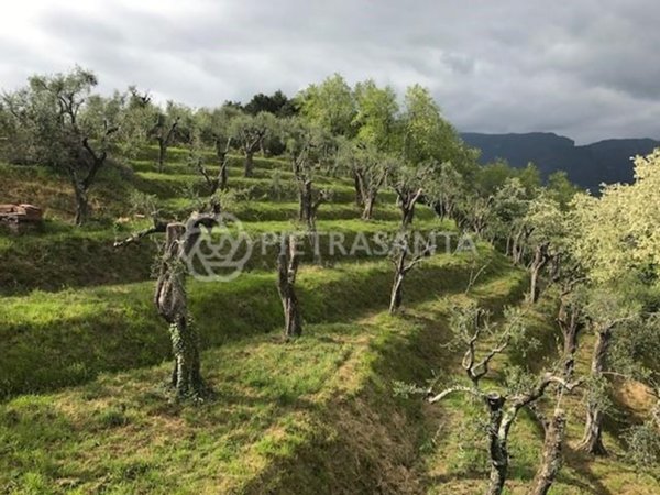 casa indipendente in vendita a Massarosa in zona Bargecchia