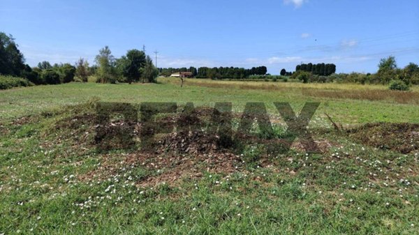 terreno agricolo in vendita a Massarosa in zona Piano di Mommio