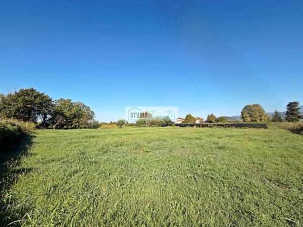 terreno agricolo in vendita a Massarosa