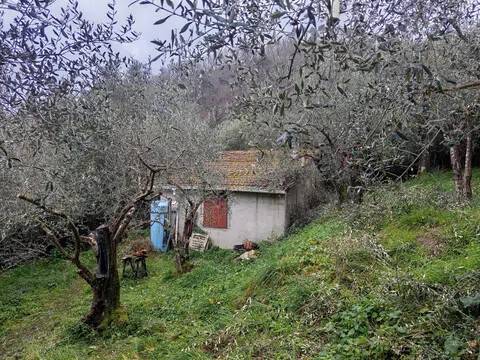 terreno agricolo in vendita a Massarosa in zona Bargecchia