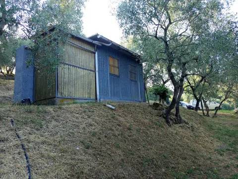 terreno agricolo in vendita a Massarosa in zona Bargecchia