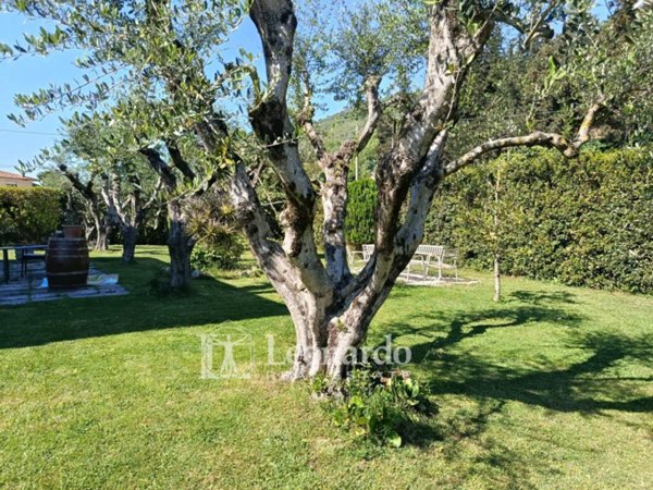appartamento in vendita a Massarosa in zona Piano di Mommio