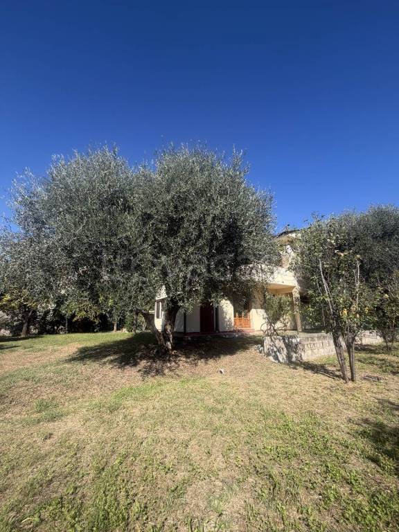 casa indipendente in vendita a Massarosa in zona Bozzano