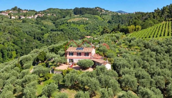 casa indipendente in vendita a Massarosa in zona Stiava