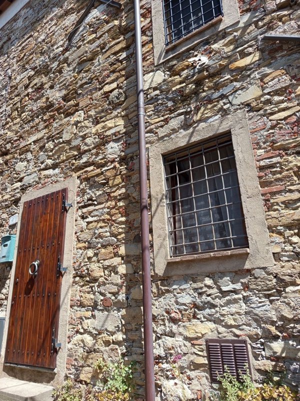 casa indipendente in vendita a Massarosa in zona Bargecchia
