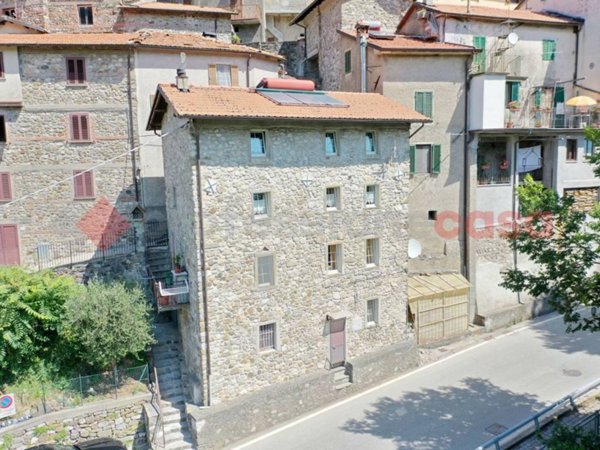 casa indipendente in vendita a Minucciano in zona Gramolazzo