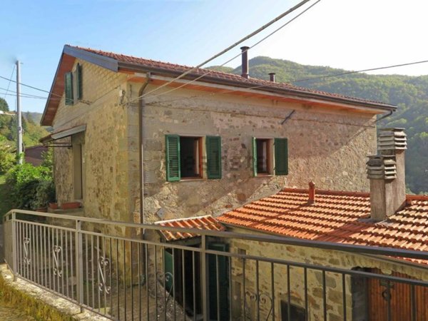 casa indipendente in vendita a Minucciano in zona Pieve San Lorenzo