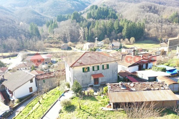 casa indipendente in vendita a Minucciano in zona Gramolazzo