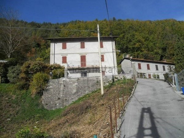 esavano in vendita a Minucciano in zona Gorfigliano