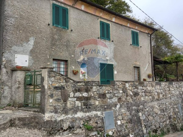 casa indipendente in vendita a Minucciano in zona Sermezzana