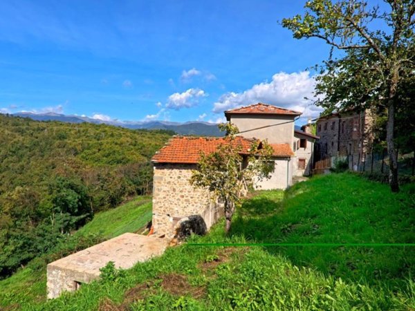 casa indipendente in vendita a Minucciano in zona Castagnola
