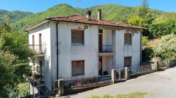 casa indipendente in vendita a Minucciano in zona Pieve San Lorenzo