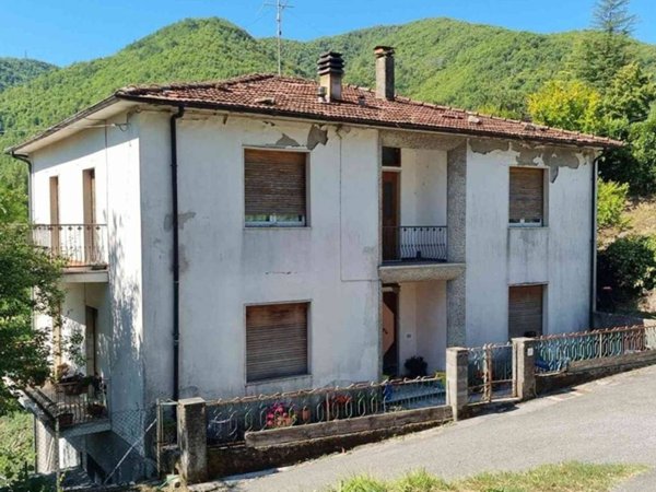 casa indipendente in vendita a Minucciano in zona Pieve San Lorenzo