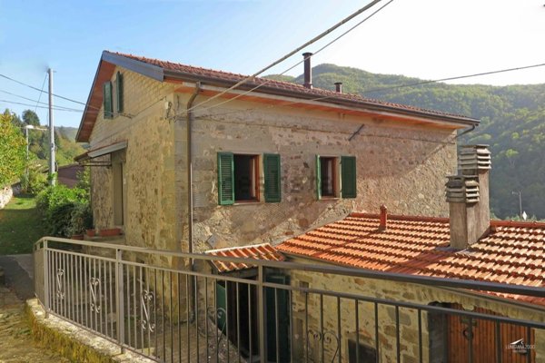 casa indipendente in vendita a Minucciano in zona Pieve San Lorenzo